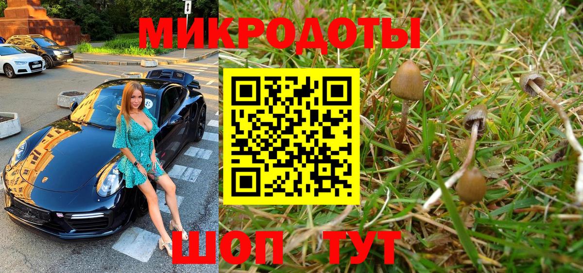где можно купить   Вход с VPN  Вятские Поляны  Псилоцибиновые грибы Psilocybine cubensis 